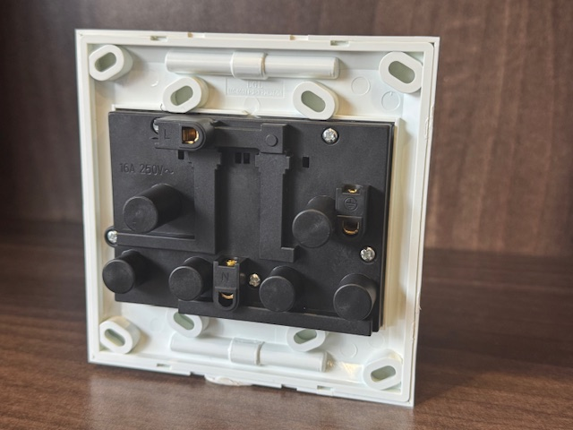 Horizon 4x4 white double plug - Image 3